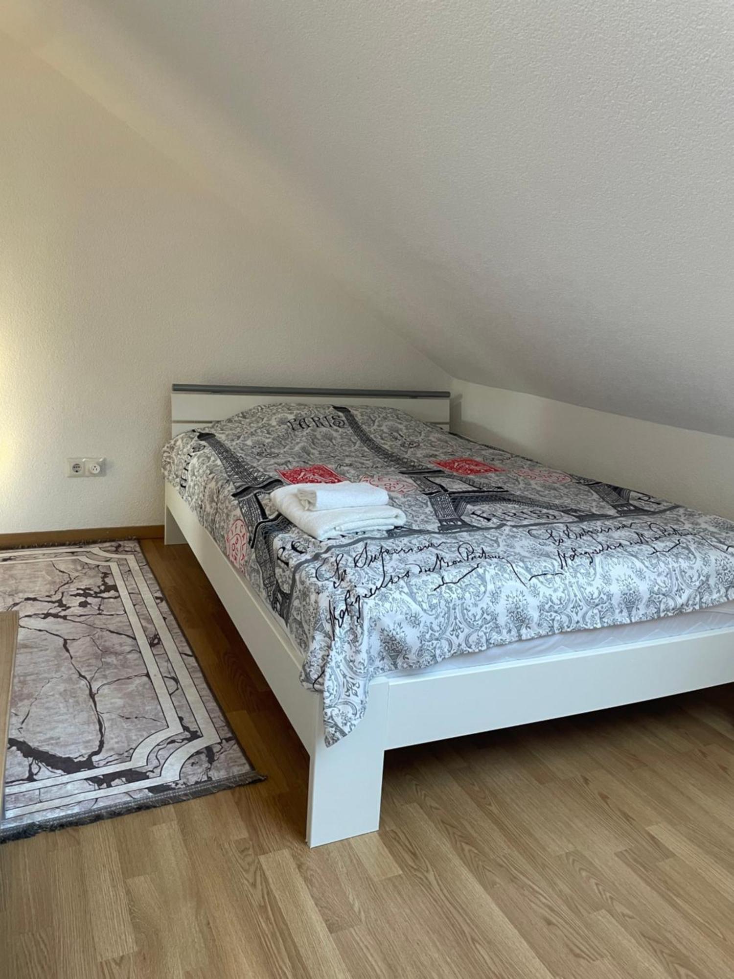 Stilvolle Wohnung Im Stadtzentrum Kaiserslautern Dış mekan fotoğraf